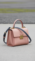 Ladies Hand bag